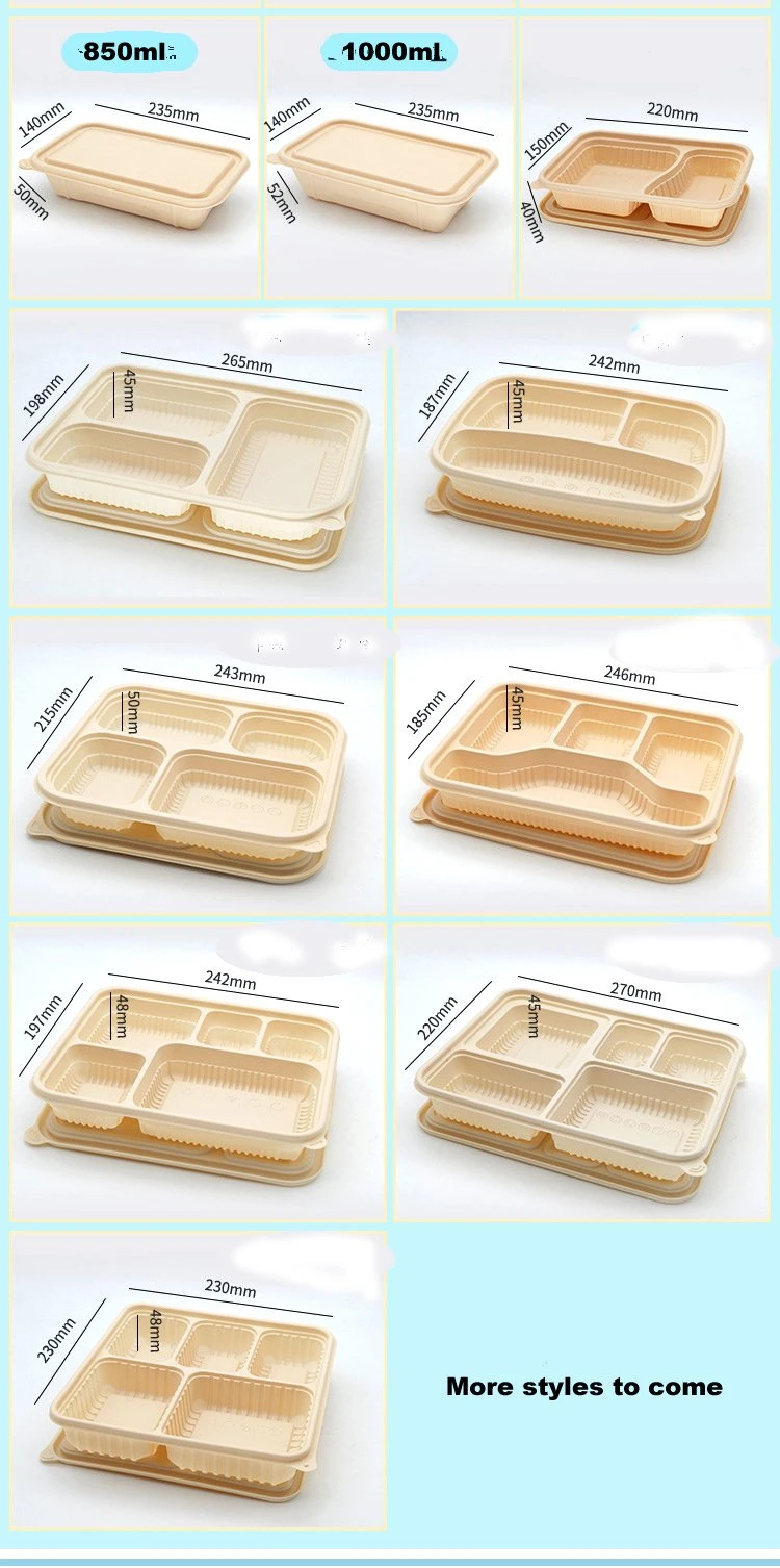 Factory Price PLA Compostable Biodegradable Box of Soap Noodle Food Storage Container